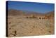 Ruined caravanserai on old Silk Route, near Natanz, Iran, Middle East-James Strachan-Premier Image Canvas