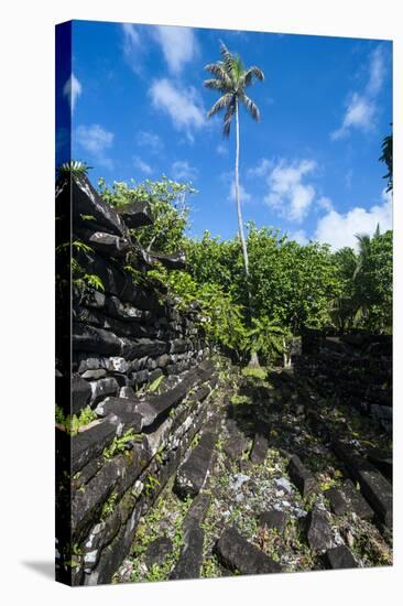 Ruined City Nan Madol, Pohnpei, Micronesia, Central Pacific-Michael Runkel-Premier Image Canvas