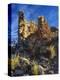 Ruins Cutthroat Castle. Ancestral Puebloan. Hovenweep NM, Colorado-Scott T. Smith-Premier Image Canvas