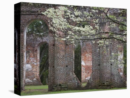 Ruins in the Spring of Old Sheldon Church, South Carolina, Usa-Joanne Wells-Premier Image Canvas