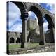 Ruins of Cistercian Jerpoint Abbey, Jerpoint, County Kilkenny, Leinster, Republic of Ireland-Stuart Black-Premier Image Canvas