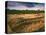 Ruins of Cliff Palace Built by Pueblo Indians, Mesa Verde National Park, Colorado, USA-Dennis Flaherty-Premier Image Canvas