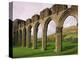 Ruins of Llanthony Priory, Vale of Ewyas, Black Mountains, Gwent, Wales, United Kingdom-Adam Woolfitt-Premier Image Canvas