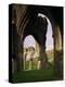 Ruins of Llanthony Priory, Vale of Ewyas, Black Mountains, Gwent, Wales, United Kingdom-Adam Woolfitt-Premier Image Canvas