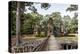 Ruins of the Chau Say Tevoda Temple, Angkor, UNESCO World Heritage Site, Cambodia, Indochina-Yadid Levy-Premier Image Canvas