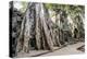 Ruins of the Ta Prohm Temple, Angkor, UNESCO World Heritage Site, Cambodia, Indochina-Yadid Levy-Premier Image Canvas
