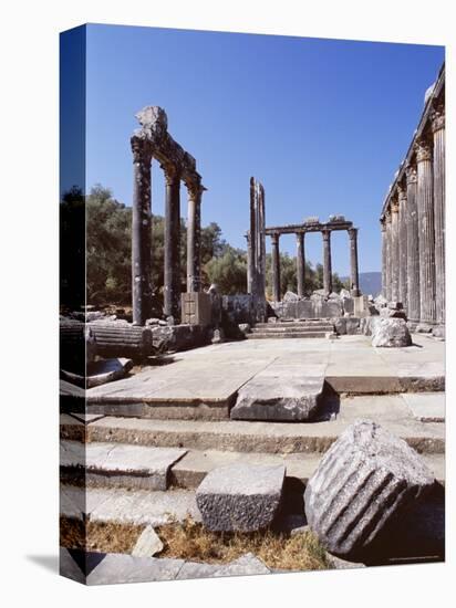 Ruins of the Temple of Zeus, Archaeological Site, Euromos, Near Bodrum, Anatolia, Turkey-R H Productions-Premier Image Canvas