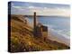 Ruins of Wheal Coates Tin Mine Engine House, Near St Agnes, Cornwall, England-Stuart Black-Premier Image Canvas