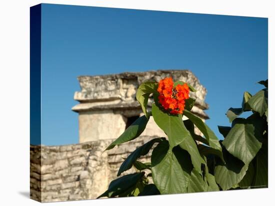 Ruins with Orange Flowers, Tulum, Mexico-Lisa S. Engelbrecht-Premier Image Canvas