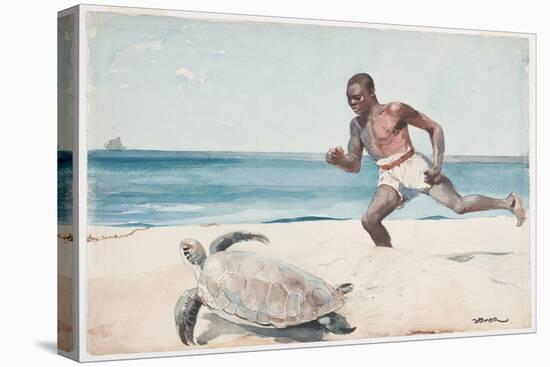 Rum Cay (W/C over Graphite on Paper)-Winslow Homer-Premier Image Canvas