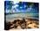 Rum Point Jetty, Cayman Islands-George Oze-Premier Image Canvas