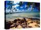 Rum Point Jetty, Cayman Islands-George Oze-Premier Image Canvas