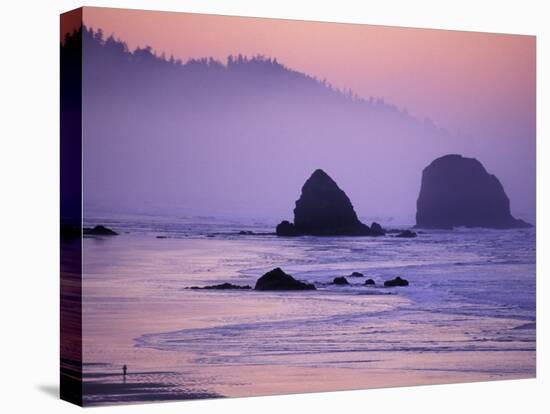 Runner on The Beach, Cannon Beach, Oregon, USA-Gavriel Jecan-Premier Image Canvas