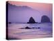 Runner on The Beach, Cannon Beach, Oregon, USA-Gavriel Jecan-Premier Image Canvas