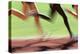Runners Legs in Motion (Blurred Motion)-Peter Skinner-Premier Image Canvas