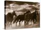 Running Horses And Sunbeams, Rothbury, Michigan-Monte Nagler-Premier Image Canvas