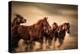 Running Horses, Blur and Flying Manes-Sheila Haddad-Premier Image Canvas