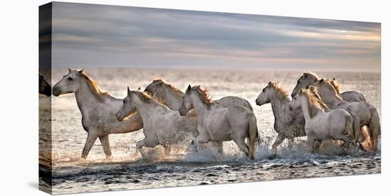 Running Horses-Xavier Ortega-Premier Image Canvas