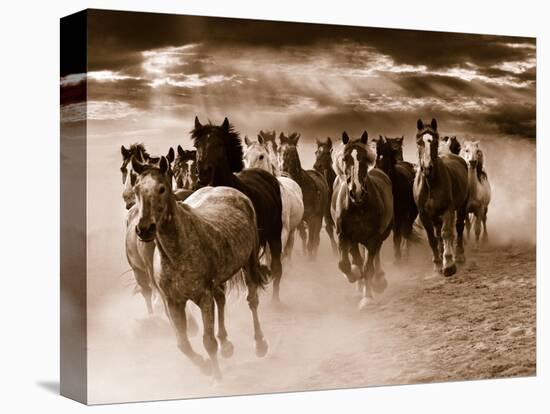 Running Horses-Monte Nagler-Stretched Canvas