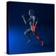 Running Injuries, Conceptual Artwork-SCIEPRO-Premier Image Canvas