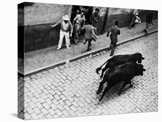 Running of the Bulls for Fiesta of San Ferman-Tony Linck-Premier Image Canvas