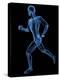 Running Skeleton, Artwork-SCIEPRO-Premier Image Canvas