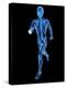 Running Skeleton, Artwork-SCIEPRO-Premier Image Canvas