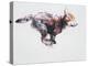 Running Wolf Pup-Mark Adlington-Premier Image Canvas