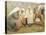 Ruokokoski Women, Finland 19th Century-Albert Edelfelt-Premier Image Canvas