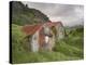Rural Buildings, Iceland-Adam Jones-Premier Image Canvas