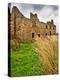 Rural Country Scene in the North of England UK-Mark Sunderland-Premier Image Canvas