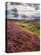 Rural Country Scene in the North of England UK-Mark Sunderland-Premier Image Canvas