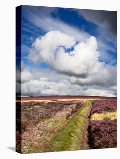 Rural Country Scene in the North of England UK-Mark Sunderland-Premier Image Canvas