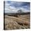 Rural Countryside Landscape in England-Craig Roberts-Premier Image Canvas