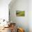 Rural farm road through yellow canola and green wheat crops, Palouse region of eastern Washington.-Adam Jones-Premier Image Canvas displayed on a wall