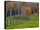 Rural Landscape, East Arlington, Vermont, USA-Joe Restuccia III-Premier Image Canvas