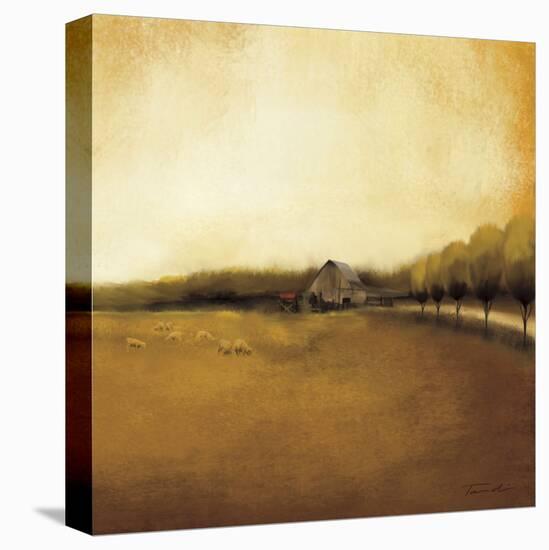 Rural Landscape I-Tandi Venter-Stretched Canvas