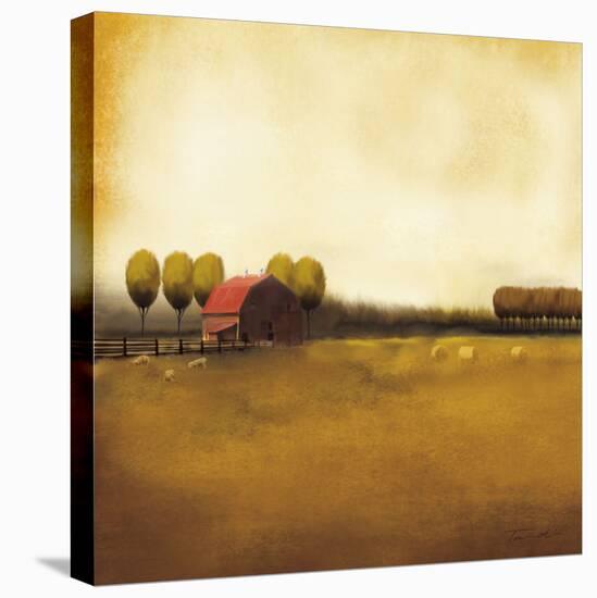 Rural Landscape II-Tandi Venter-Stretched Canvas
