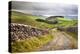 Rural Landscape in North Yorkshire, England-Mark Sunderland-Premier Image Canvas