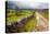 Rural Landscape in North Yorkshire, England-Mark Sunderland-Premier Image Canvas