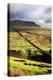 Rural Landscape in North Yorkshire, England-Mark Sunderland-Premier Image Canvas