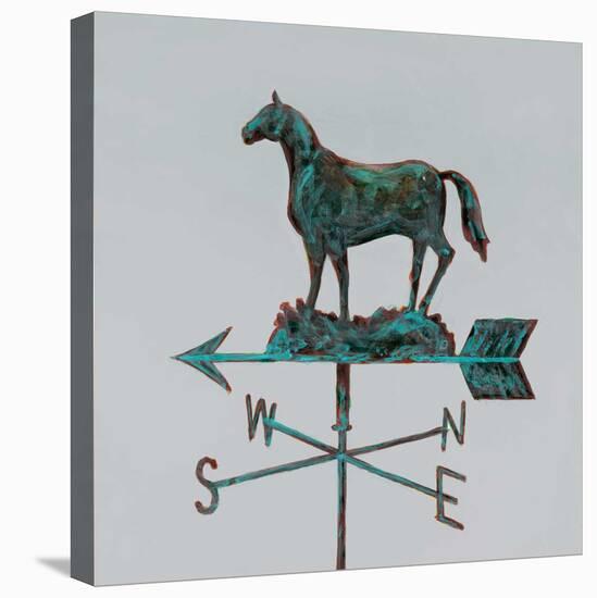 Rural Relic Horse-Arnie Fisk-Stretched Canvas