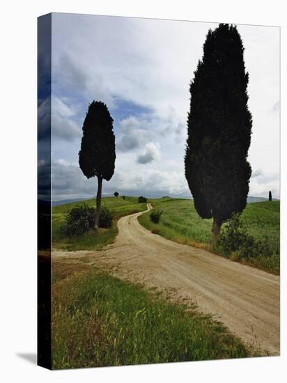 Rural Road between Two Cypress Trees, Tuscany, Italy-Adam Jones-Premier Image Canvas