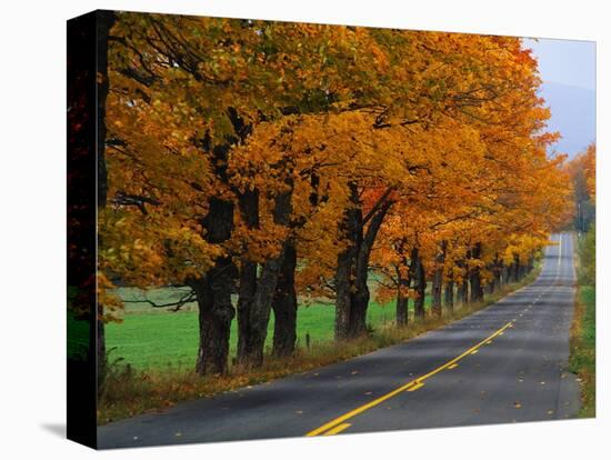 Rural Road in Autumn-Joseph Sohm-Premier Image Canvas