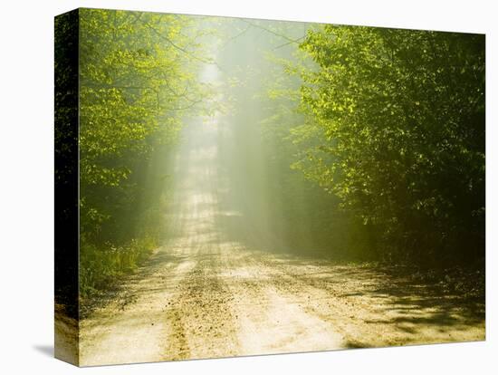 Rural Road-Jim Craigmyle-Premier Image Canvas