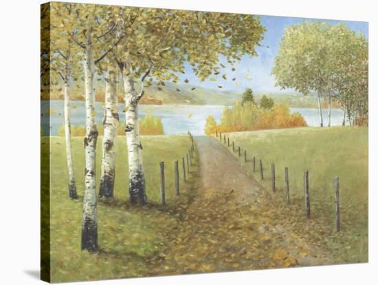 Rural Route I-Arnie Fisk-Stretched Canvas