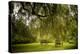 Rural Scene with Garden Benches under a Large Willow Tree-Jody Miller-Premier Image Canvas