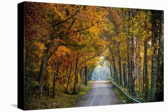 Rural USA with Trees in Autumn Along Track-Jody Miller-Premier Image Canvas