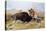 Russell: Buffalo Hunt-Charles Marion Russell-Premier Image Canvas