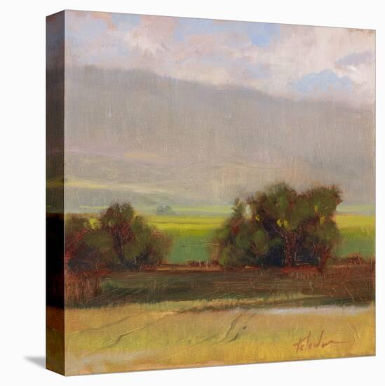 Russell Creek View II-Todd Telander-Stretched Canvas